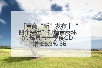 营商“新”发布丨“四个突出”打造营商环境 辉县市一季度GDP增长6.9% 36个重点项目落地