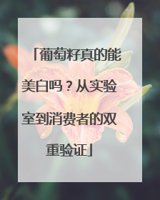 葡萄籽真的能美白吗？从实验室到消费者的双重验证
