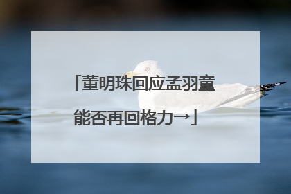 董明珠回应孟羽童能否再回格力→