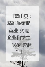 蓝山县：精准施策促就业 实现企业和学生“双向奔赴”