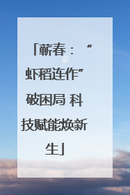 蕲春：“虾稻连作”破困局 科技赋能焕新生