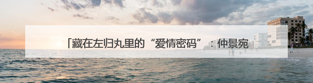 藏在左归丸里的“爱情密码”：仲景宛西制药如何用产品IP讲好品牌故事