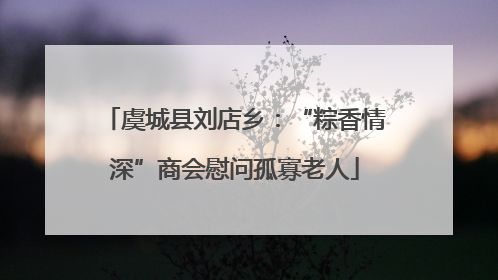 虞城县刘店乡：“粽香情深”商会慰问孤寡老人