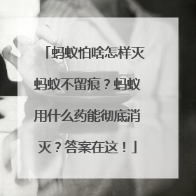 蚂蚁怕啥怎样灭蚂蚁不留痕？蚂蚁用什么药能彻底消灭？答案在这！