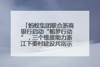 蚂蚁集团联合浙商银行启动“栀梦行动”，三个维度助力浙江下姜村建设共富示范区示范点