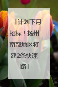 计划下月招标！扬州南部地区将建2条快速路