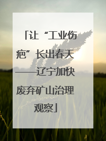 让“工业伤疤”长出春天——辽宁加快废弃矿山治理观察