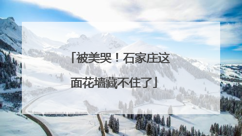 被美哭！石家庄这面花墙藏不住了