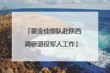 裴金佳带队赴陕西调研退役军人工作