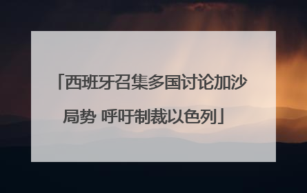 西班牙召集多国讨论加沙局势 呼吁制裁以色列