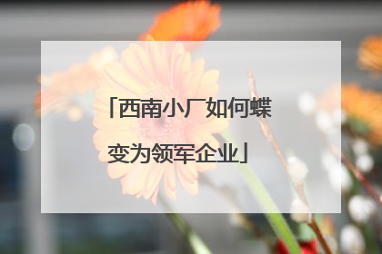 西南小厂如何蝶变为领军企业