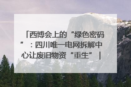 西博会上的“绿色密码”：四川唯一电网拆解中心让废旧物资“重生”｜西博寻“新”记