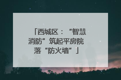 西城区：“智慧消防”筑起平房院落“防火墙”