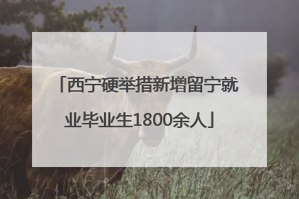西宁硬举措新增留宁就业毕业生1800余人
