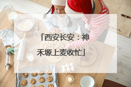 西安长安：神禾塬上麦收忙