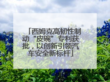 西姆克高韧性制动“皮碗”专利获批，以创新引领汽车安全新标杆