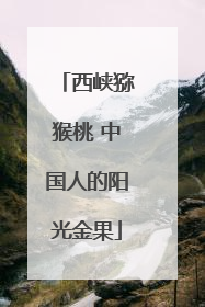西峡猕猴桃 中国人的阳光金果