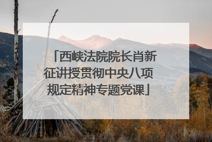 西峡法院院长肖新征讲授贯彻中央八项规定精神专题党课