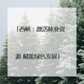 西峡：激活林业资源 赋能绿色发展
