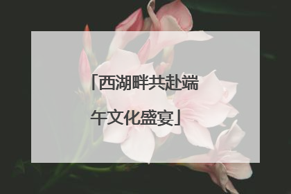 西湖畔共赴端午文化盛宴