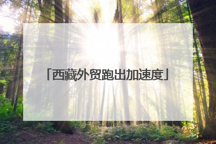 西藏外贸跑出加速度
