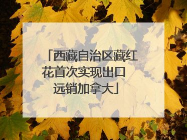 西藏自治区藏红花首次实现出口 远销加拿大