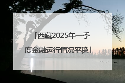 西藏2025年一季度金融运行情况平稳