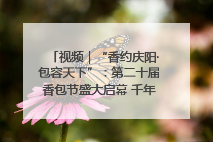 视频｜“香约庆阳·包容天下”：第二十届香包节盛大启幕 千年非遗香飘世界