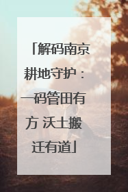 解码南京耕地守护：一码管田有方 沃土搬迁有道