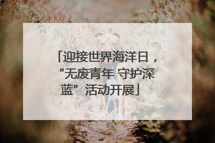 迎接世界海洋日，“无废青年 守护深蓝”活动开展