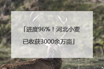 进度96%！河北小麦已收获3000余万亩