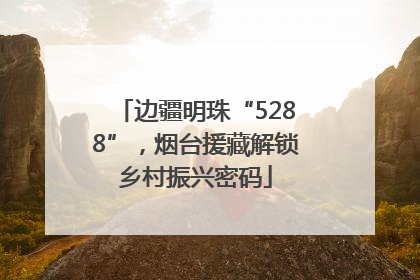 边疆明珠“5288”，烟台援藏解锁乡村振兴密码