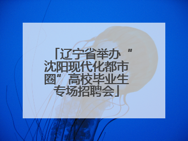 辽宁省举办“沈阳现代化都市圈”高校毕业生专场招聘会