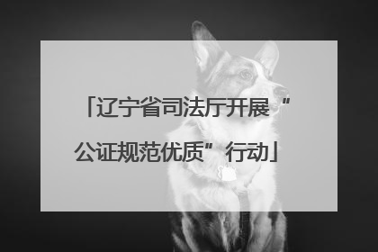 辽宁省司法厅开展“公证规范优质”行动