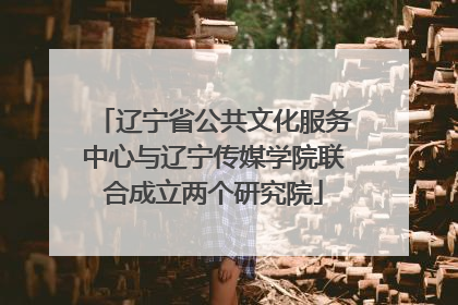 辽宁省公共文化服务中心与辽宁传媒学院联合成立两个研究院