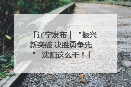 辽宁发布｜“振兴新突破 决胜勇争先” 沈阳这么干！