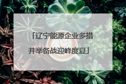 辽宁能源企业多措并举备战迎峰度夏
