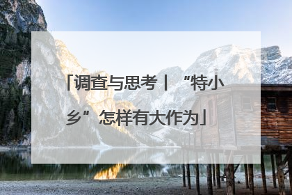 调查与思考丨“特小乡”怎样有大作为