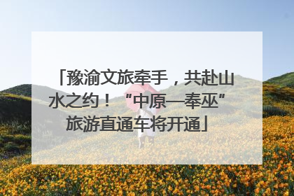 豫渝文旅牵手，共赴山水之约！“中原—奉巫”旅游直通车将开通