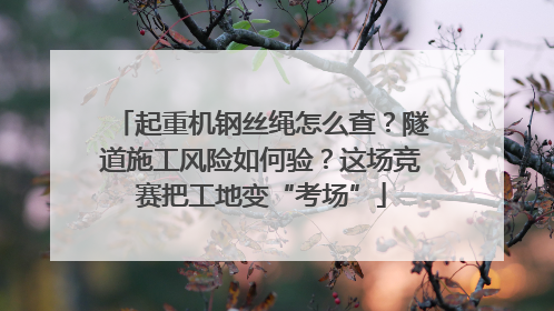 起重机钢丝绳怎么查？隧道施工风险如何验？这场竞赛把工地变“考场”