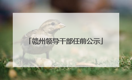 赣州领导干部任前公示