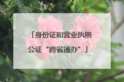 身份证和营业执照公证“跨省通办”