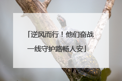 逆风而行！他们奋战一线守护路畅人安