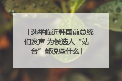 选举临近韩国前总统们发声 为候选人“站台”都说些什么