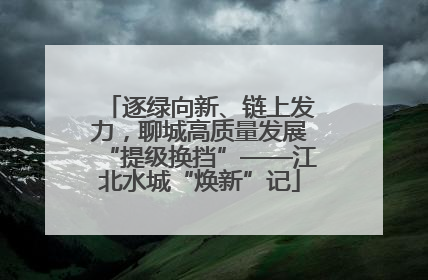 逐绿向新、链上发力，聊城高质量发展“提级换挡”——江北水城“焕新”记
