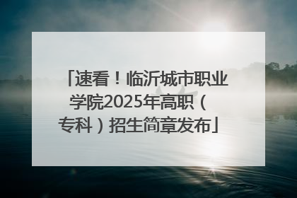 速看！临沂城市职业学院2025年高职（专科）招生简章发布