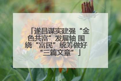 遂昌谋实建强“金色共富”发展轴 围绕“富民”统筹做好“三篇文章”