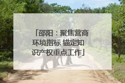 邵阳：聚焦营商环境指标 锚定知识产权重点工作