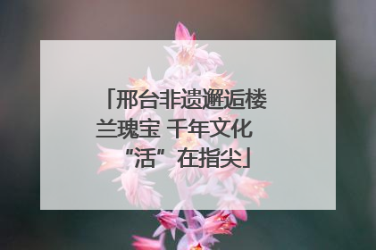 邢台非遗邂逅楼兰瑰宝 千年文化“活”在指尖