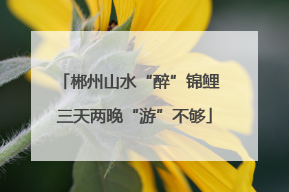 郴州山水“醉”锦鲤 三天两晚“游”不够